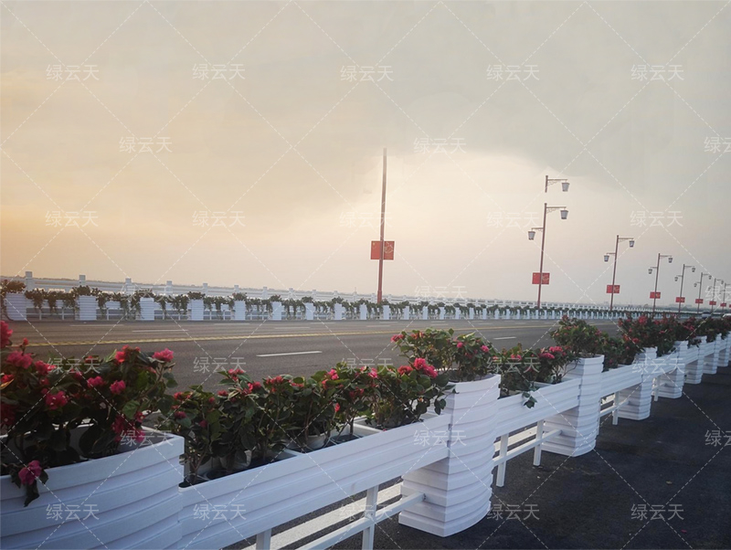 荊州園博園綠化景觀(guān)工程2