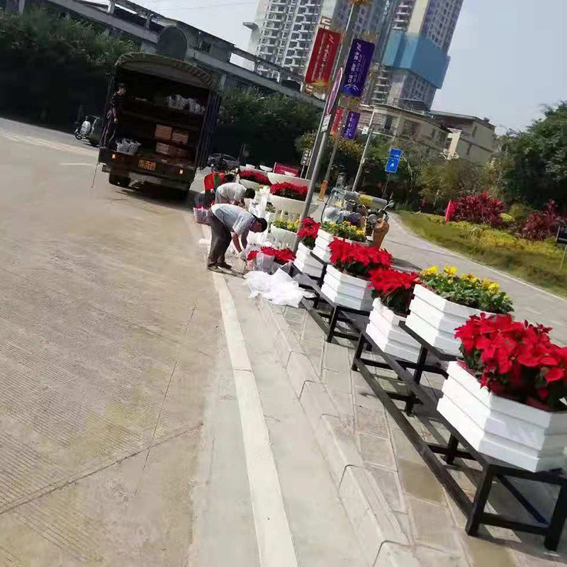 花箱詳解，花箱植物的注意事項。